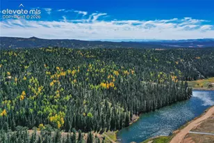 289 Cottonwood Lake Dr, Divide, CO 80814 - Photo 49