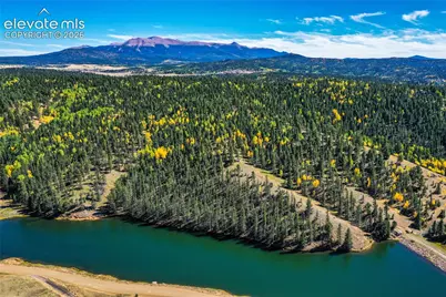 289 Cottonwood Lake Drive, Divide, CO 80814 - Photo 47