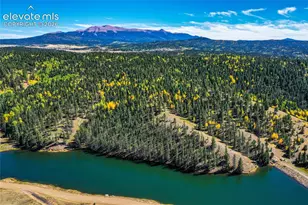 289 Cottonwood Lake Dr, Divide, CO 80814 - Photo 47