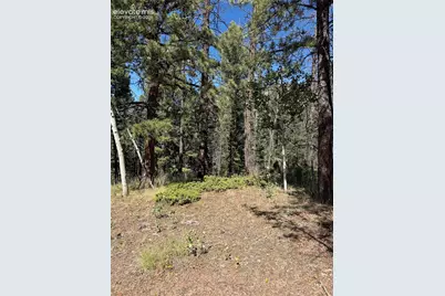 1007 Derby Drive, Cripple Creek, CO 80813 - Photo 5