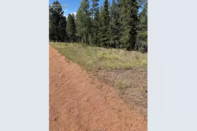 1007 Derby Drive, Cripple Creek, CO 80813 - Photo 3