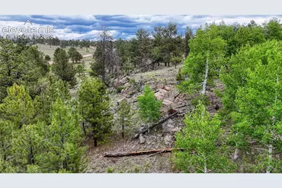 330 Arrowhead Drive, Florissant, CO 80816 - Photo 15