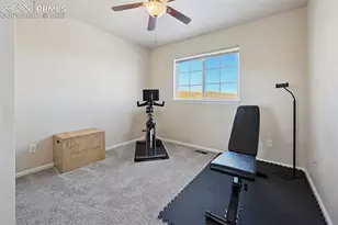 7471 Willow Pines Pl, Fountain, CO 80817 - Photo 29