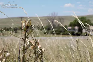 Tract 8 McClelland Rd, Calhan, CO 80808 - Photo 1