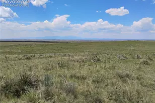 29375 Tallgrass Vw, Calhan, CO 80808 - Photo 29