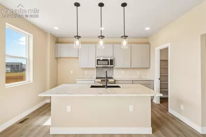 9161 Lanceleaf Drive, Colorado Springs, CO 80925 - Photo 11