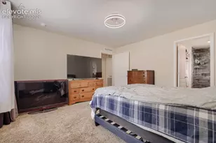 7823 Grizzly Bear Point, Colorado Springs, CO 80922 - Photo 15