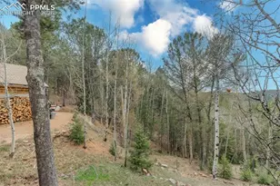 847 Timber Ridge Rd, Divide, CO 80814 - Photo 41