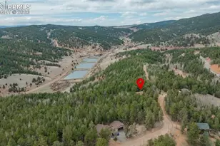847 Timber Ridge Rd, Divide, CO 80814 - Photo 39