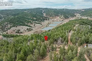 847 Timber Ridge Rd, Divide, CO 80814 - Photo 37