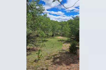 430 Pinon Lane, Florissant, CO 80816 - Photo 3