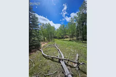 430 Pinon Lane, Florissant, CO 80816 - Photo 35