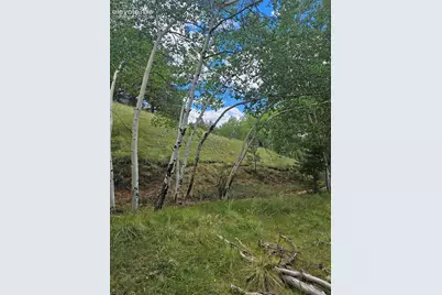 430 Pinon Lane, Florissant, CO 80816 - Photo 31