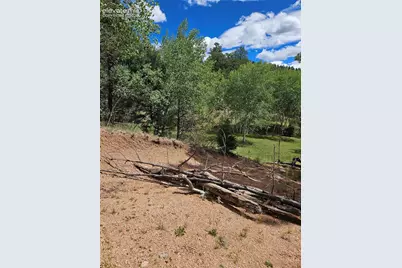 430 Pinon Lane, Florissant, CO 80816 - Photo 7