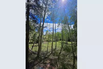 430 Pinon Lane, Florissant, CO 80816 - Photo 33