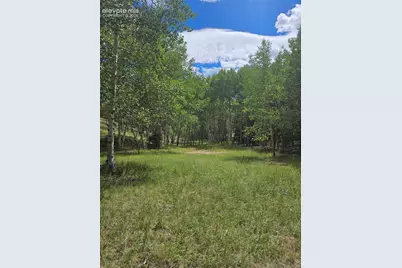 430 Pinon Lane, Florissant, CO 80816 - Photo 17