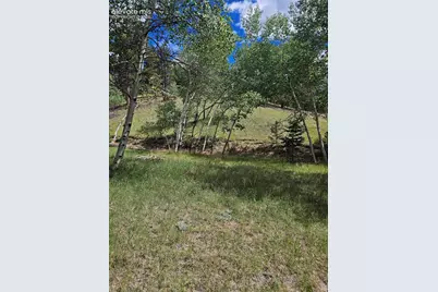 430 Pinon Lane, Florissant, CO 80816 - Photo 19