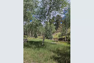 430 Pinon Lane, Florissant, CO 80816 - Photo 27