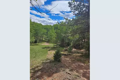 430 Pinon Lane, Florissant, CO 80816 - Photo 15