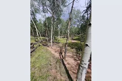 430 Pinon Lane, Florissant, CO 80816 - Photo 37
