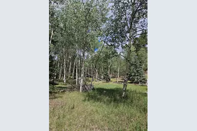430 Pinon Lane, Florissant, CO 80816 - Photo 23