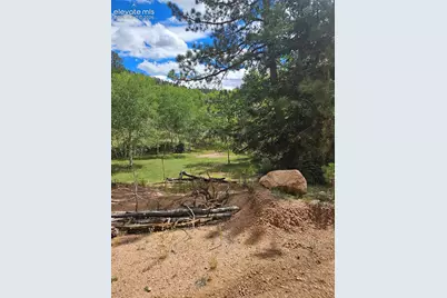 430 Pinon Lane, Florissant, CO 80816 - Photo 5