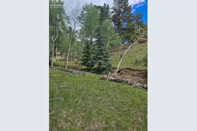 430 Pinon Lane, Florissant, CO 80816 - Photo 29