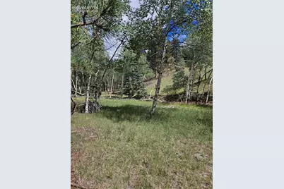 430 Pinon Lane, Florissant, CO 80816 - Photo 21