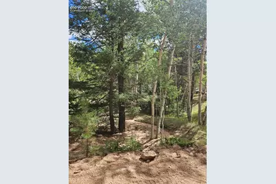 430 Pinon Lane, Florissant, CO 80816 - Photo 11