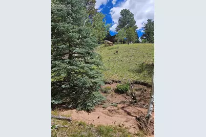 430 Pinon Lane, Florissant, CO 80816 - Photo 41