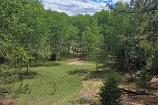 430 Pinon Ln, Florissant, CO 80816 - Photo 1