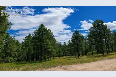 00 Westwood Road, Colorado Springs, CO 80919 - Photo 5