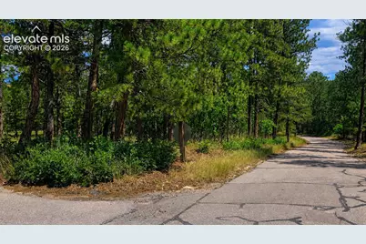 00 Westwood Road, Colorado Springs, CO 80919 - Photo 3
