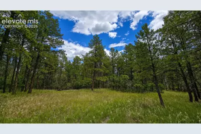 00 Westwood Road, Colorado Springs, CO 80919 - Photo 9