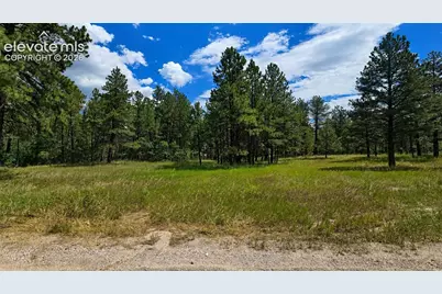 00 Westwood Road, Colorado Springs, CO 80919 - Photo 11