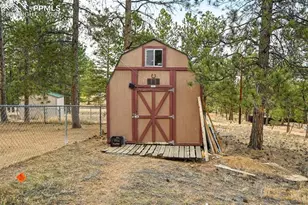 31 Wallace Dr, Florissant, CO 80816 - Photo 29