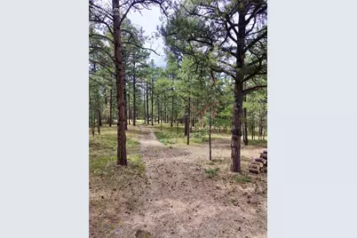 19953 Vista Clara Lane, Monument, CO 80132 - Photo 7