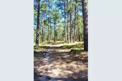 19953 Vista Clara Lane, Monument, CO 80132 - Photo 15