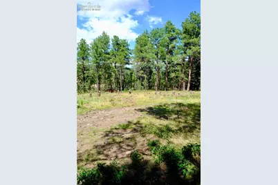 19953 Vista Clara Lane, Monument, CO 80132 - Photo 11