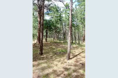 19953 Vista Clara Lane, Monument, CO 80132 - Photo 17