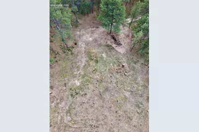 19953 Vista Clara Lane, Monument, CO 80132 - Photo 9