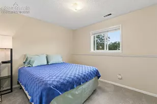 4915 Brown Valley Ln, Colorado Springs, CO 80918 - Photo 21