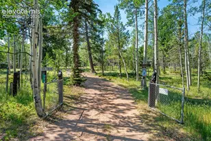 106 Forest Ct, Guffey, CO 80820 - Photo 1