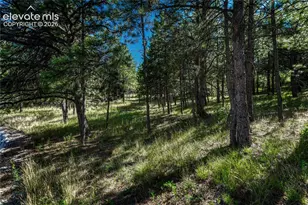 1103 Greenland Forest Dr, Monument, CO 80132 - Photo 41