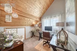 895 Acorn Rd, Cotopaxi, CO 81223 - Photo 19