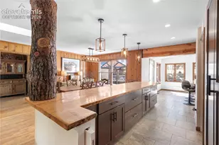 8825 Chipita Park Rd, Cascade, CO 80809 - Photo 19