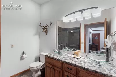 8825 Chipita Park Road, Cascade, CO 80809 - Photo 29
