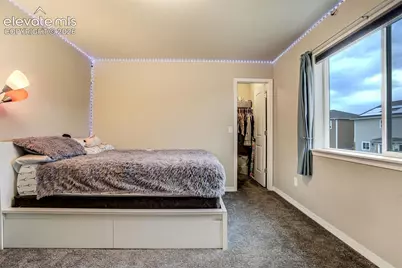 8184 Basaltic Drive, Colorado Springs, CO 80938 - Photo 31