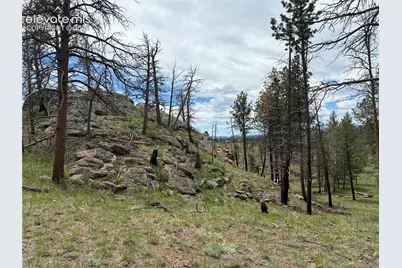 266 Chapparal Trail, Florissant, CO 80816 - Photo 25