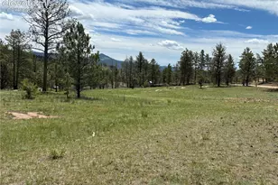 266 Chapparal Trail, Florissant, CO 80816 - Photo 1